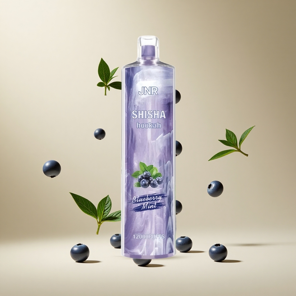 Menta Arándano JNR Shisha Hookah 12000 Puffs 24ml